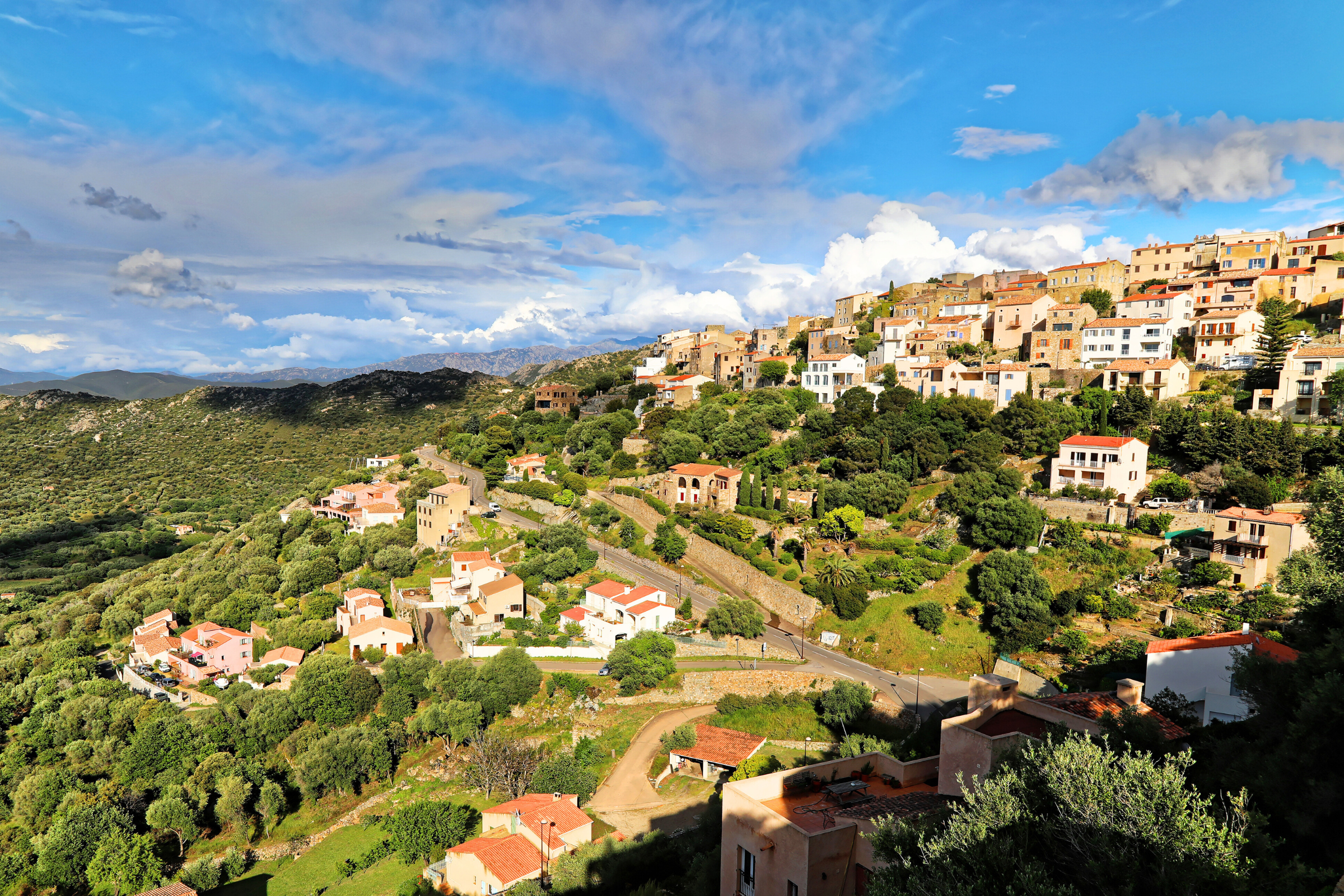 41_Monticello,_Corsica[1].webp